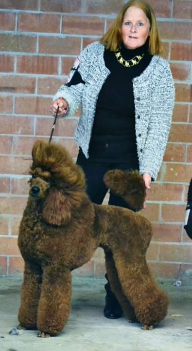 poedel hondentaal cursussen training