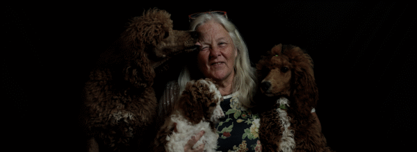 poedel hondentaal cursussen training poedel hondentaal cursussen training