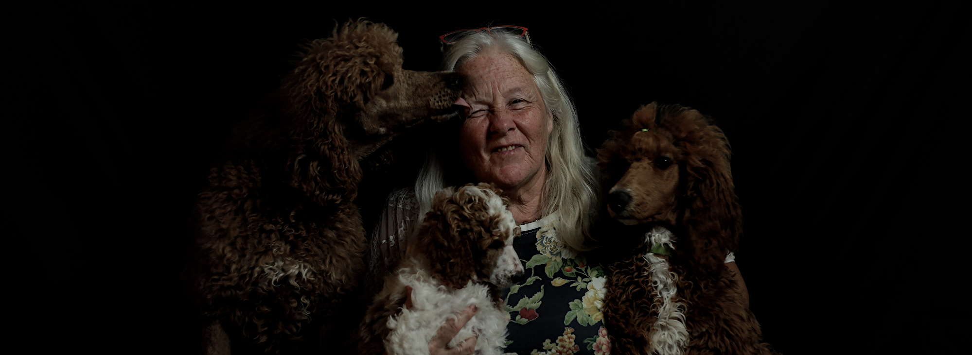 Deel 7 – En hoe nu?