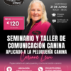 seminaro canina magistral royal carinne lewi poodle academy seminaro canina magistral royal carinne lewi poodle academy