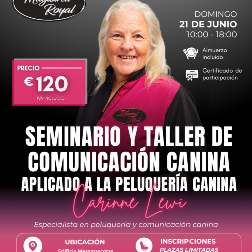seminaro canina magistral royal carinne lewi poodle academy seminaro canina magistral royal carinne lewi poodle academy