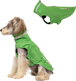 Poedel honden amazon